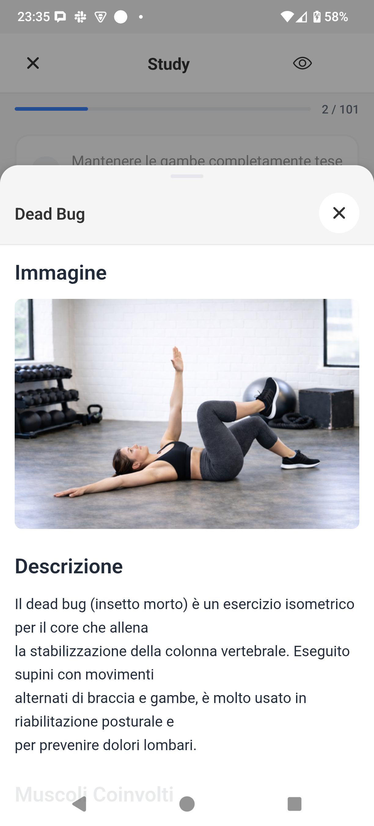 Lumio study session with flashcard and quiz